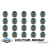 Victor Reinz Mk2 RS/ST Valve Stem Oil Seal Kit