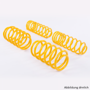 Fiesta ST180 Mk7 ST Lowering sport springs