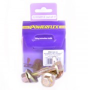 PFA100-12 Poweralign Camber Bolt Kit (12mm)